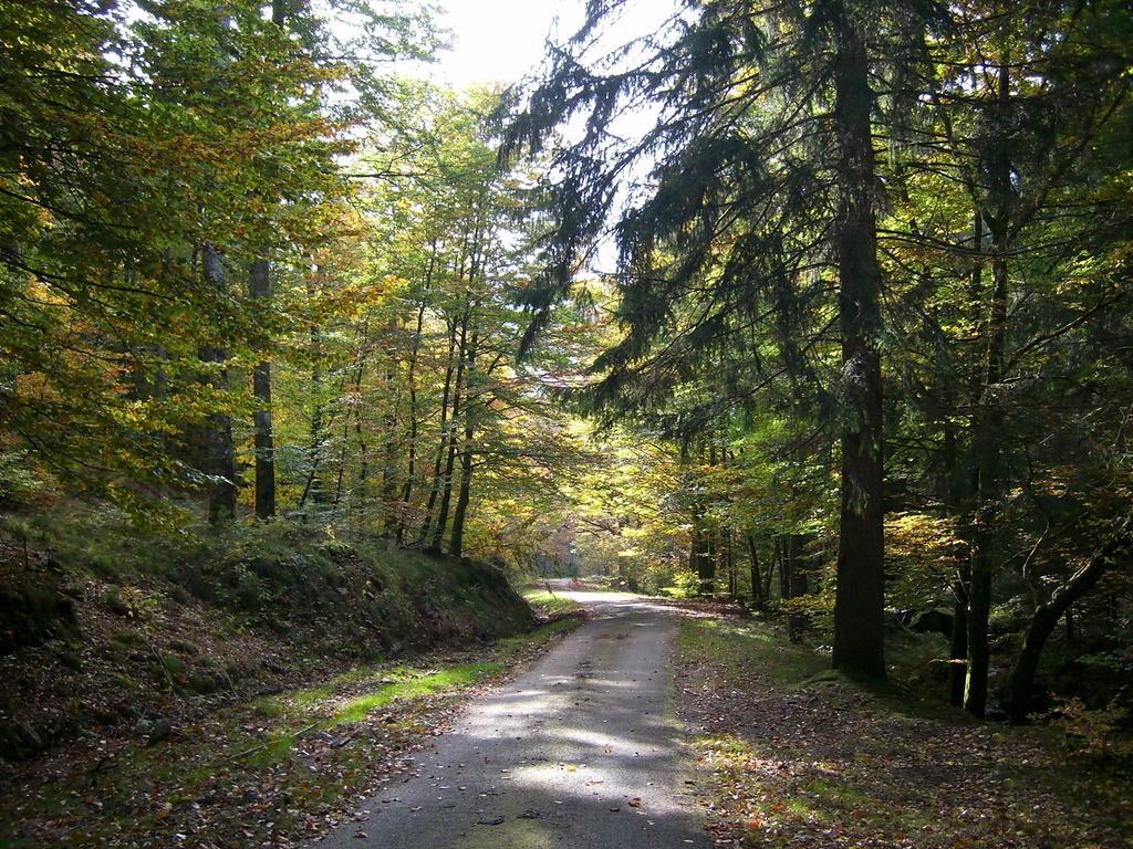 Chalet Du Montal Dun-les-Places Zimmer foto